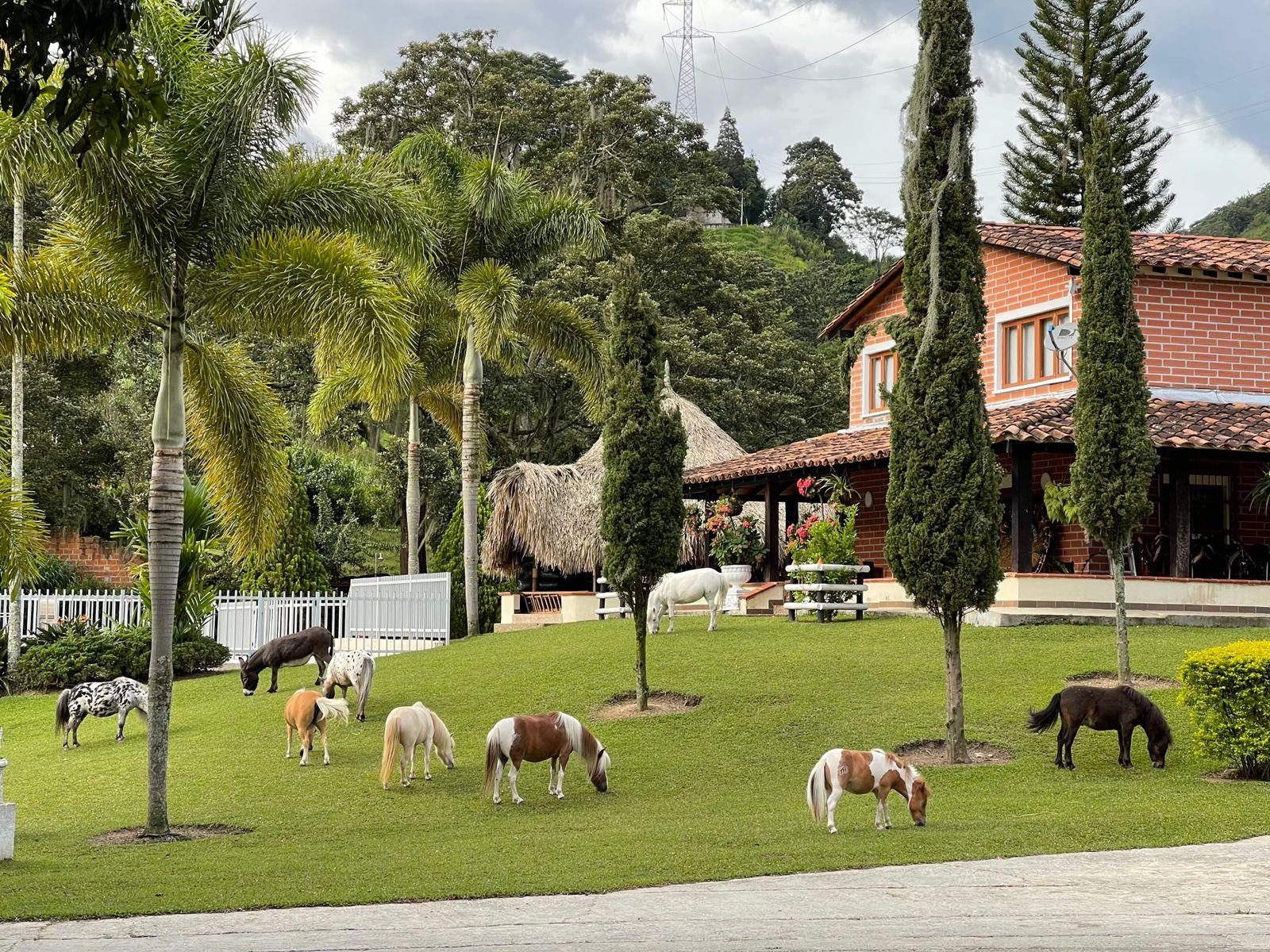 Área de recreo
